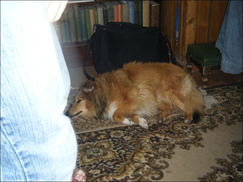 Pictures Weekend Away 507